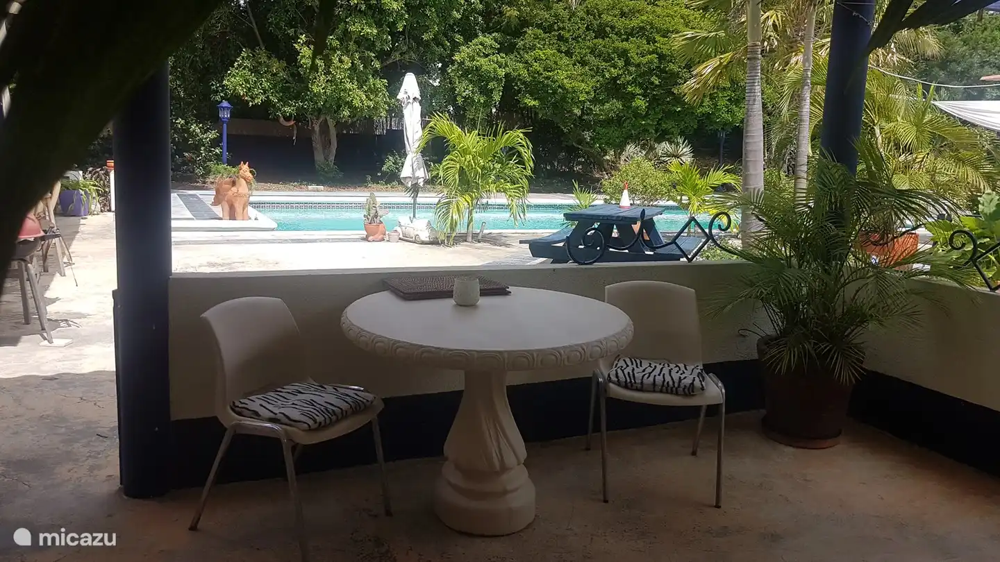 Coral Beach, terrasse au bord de la piscine