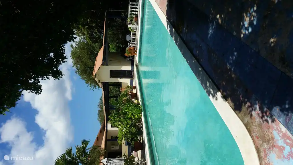 La grande piscine n'est pas seulement idéale pour se détendre et flotter, avec un verre de vin ou de bière sur le bord. Du fait de la longueur de 15 m, il est bon de commencer la journée par des longueurs de nage....
