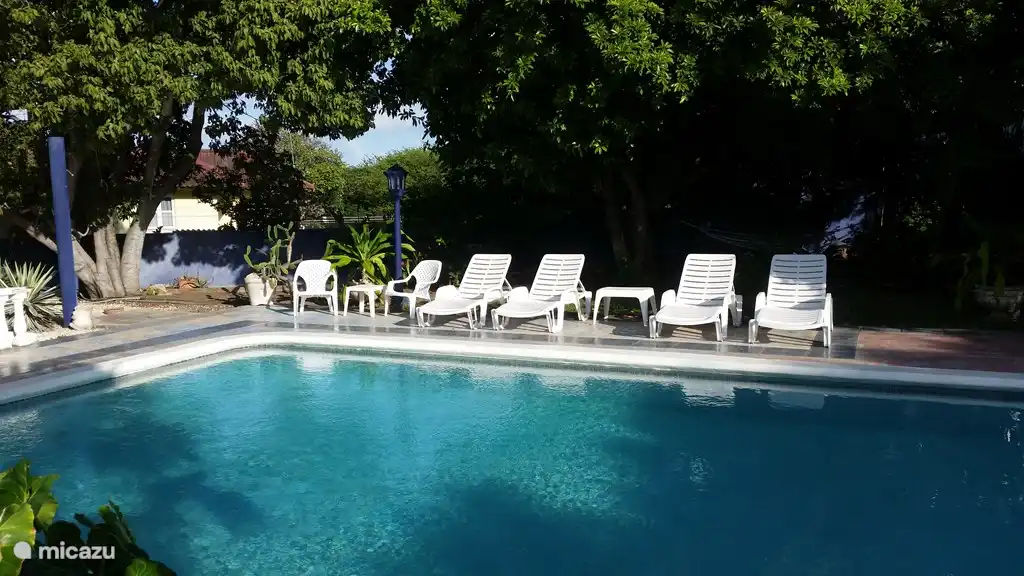Plein soleil, mais aussi merveilleux coins ombragés sur la grande terrasse de la piscine