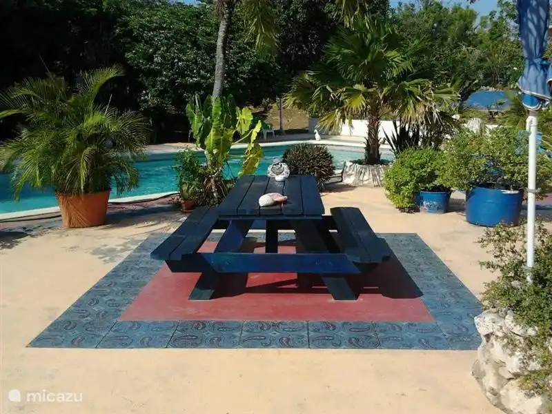 Nos invités ont déjà organisé de nombreux barbecues chaleureux et savoureux à la table habituelle. Chaque appartement dispose d'une terrasse privée, mais socialiser avec les autres résidents de Rian Apartments rend les vacances tellement plus agréables.