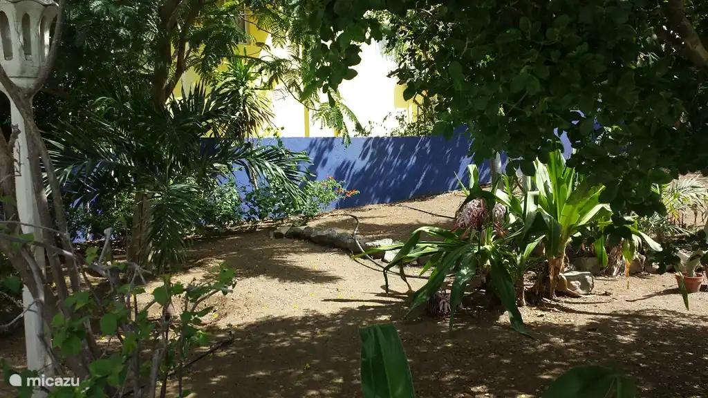 Un regard dans le jardin