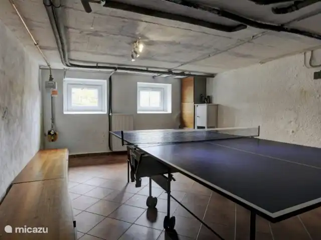 Villa Ennert | Allemagne, Sauerland, Winterberg - villa