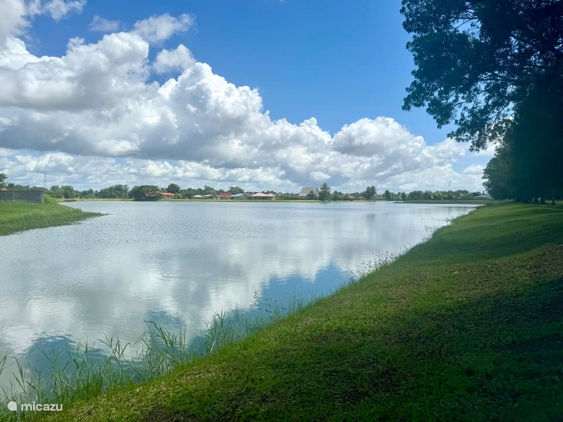 Le grand lac de Palmvillage