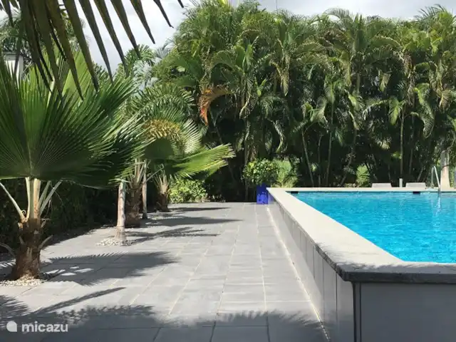 Location de Vacances Suriname, Commewijne, New Amsterdam, villa - Villa Nieuw, Amsterdam, Suriname  La piscine propre, dont nous sommes fiers