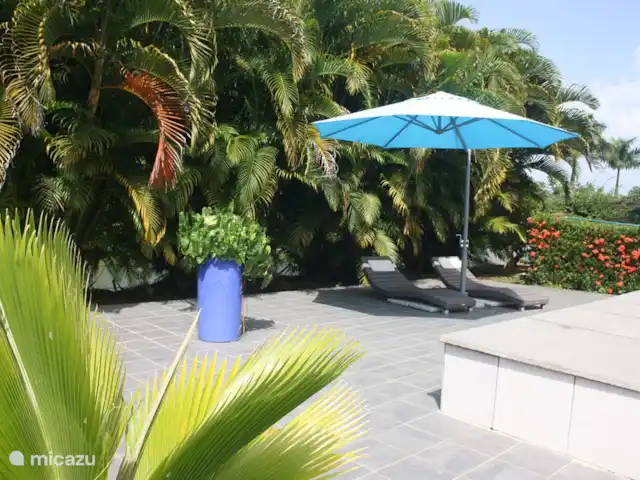 Location de Vacances Suriname, Commewijne, New Amsterdam, villa - Villa Nieuw, Amsterdam, Suriname  Transats au bord de la piscine