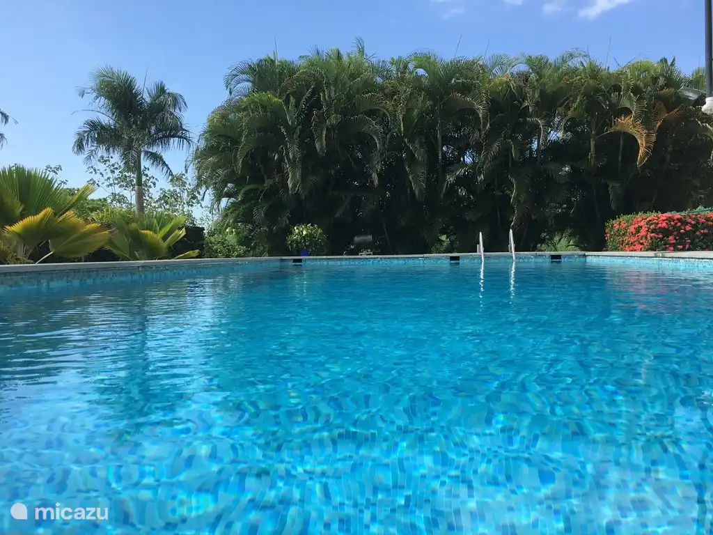 Privater Pool. 10 x 5 x 1,5 m groß. (L x B x T) Bitte beachten Sie, dass der Pool überall die gleiche Tiefe hat.