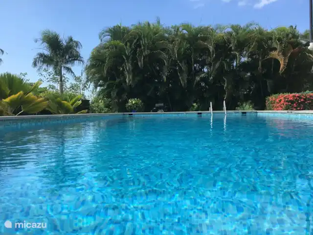 Location de Vacances Suriname, Commewijne, New Amsterdam, villa - Villa Nieuw, Amsterdam, Suriname  Piscine privée. 10 x 5 x 1,5 m.
(L x l x P) Veuillez noter que la piscine a la même profondeur partout.