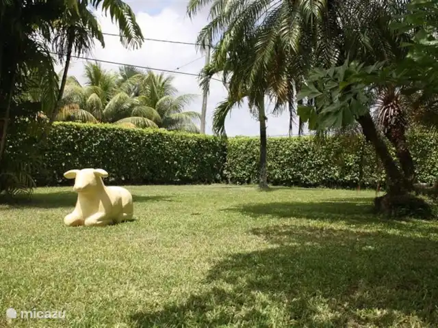 Location de Vacances Suriname, Commewijne, New Amsterdam, villa - Villa Nieuw, Amsterdam, Suriname  Jardin avec art.