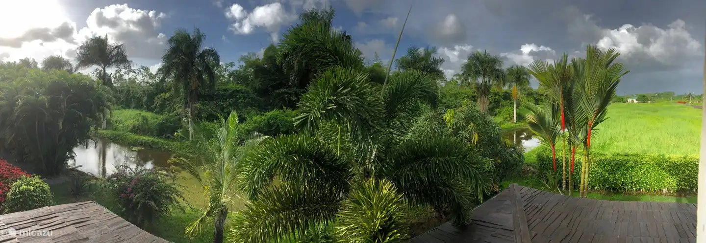 Panoramafoto aus dem 1. Stock. Sehen Sie die schönen Wolken auf dem Foto.