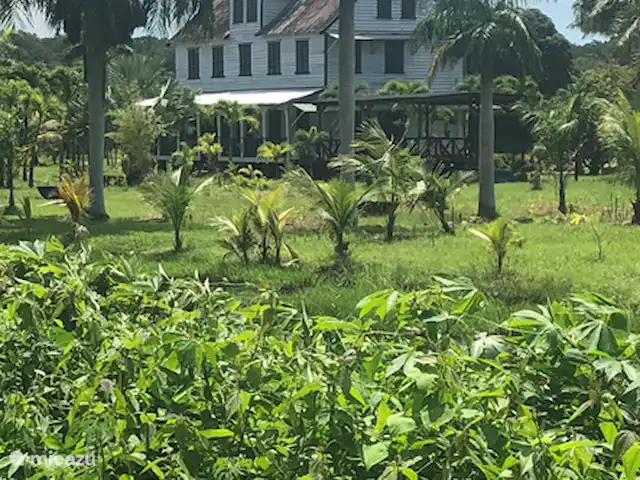 Location de Vacances Suriname, Commewijne, New Amsterdam, villa - Villa Nieuw, Amsterdam, Suriname  Domaine de la maison de plantation Groot Marienbosch près de Frederiksdorp.