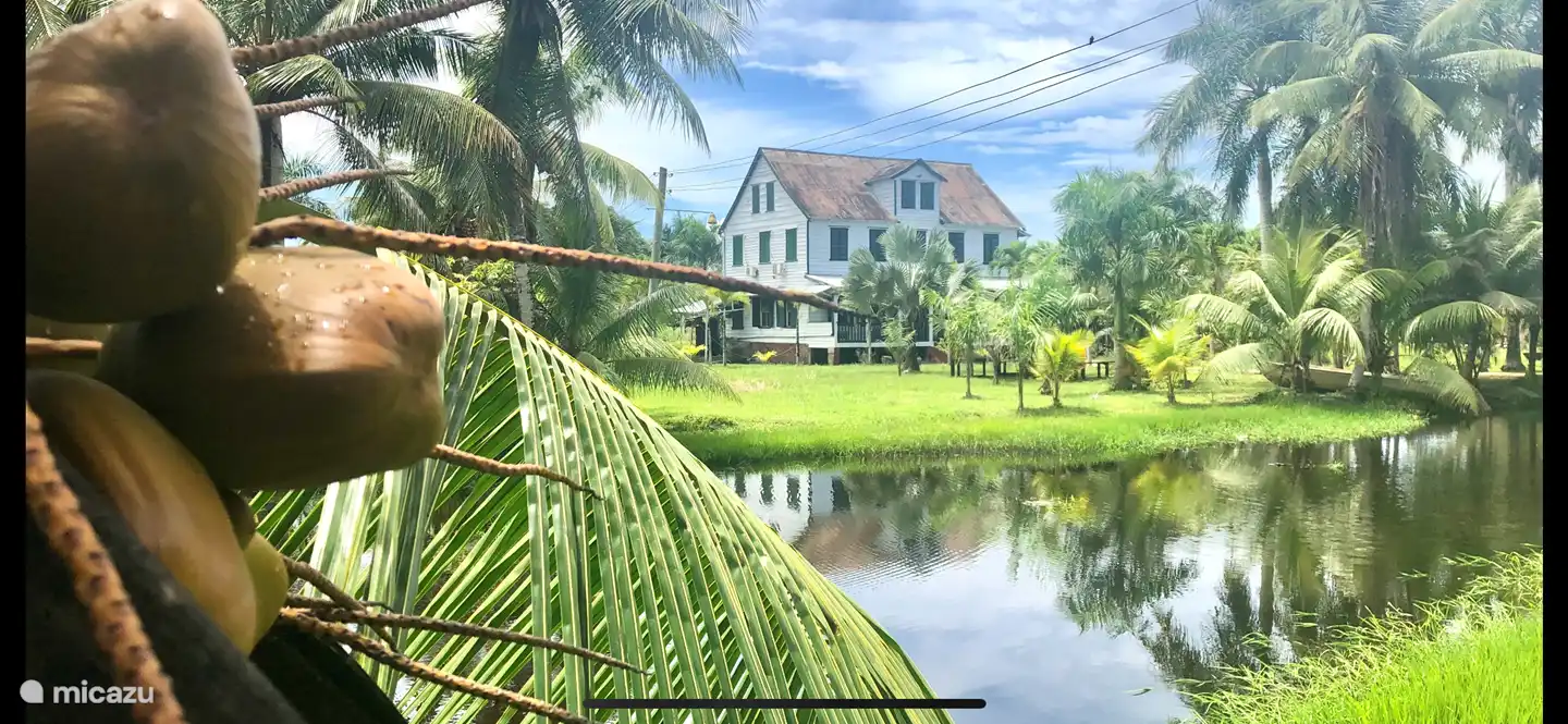 Plantage Groot Marienbosch nur wenige Kilometer von Ihrer Villa entfernt. Commewijne.