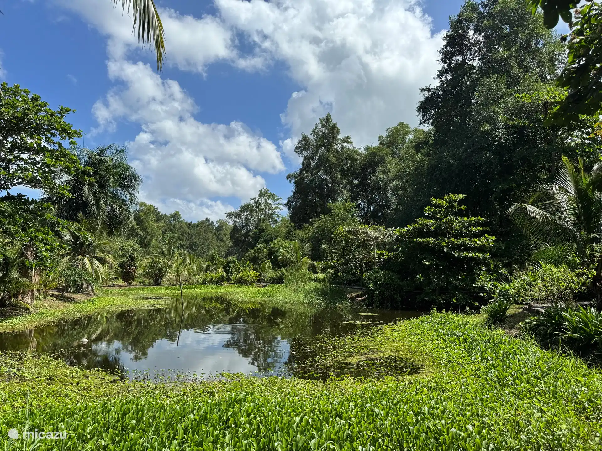 Plantage Bakkie, Commewijne.