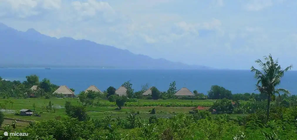 Blick von der Hauptstraße