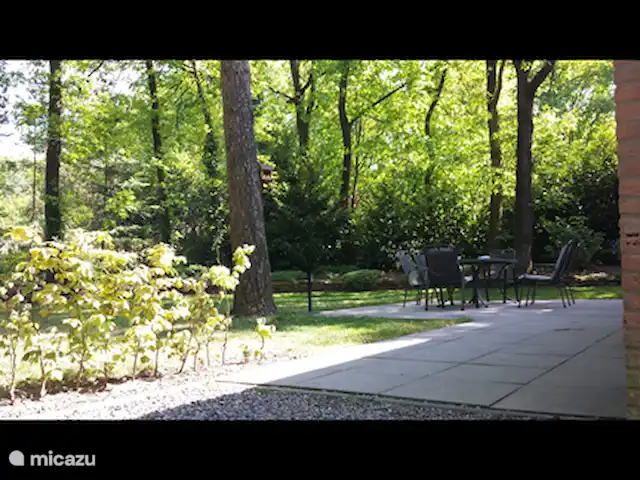 De Vlinder huren in Nederland, Gelderland, Winterswijk - bungalow terras