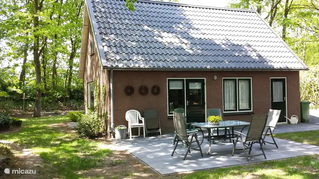 Terrasse. Wo Sie die Eichhörnchen genießen können.