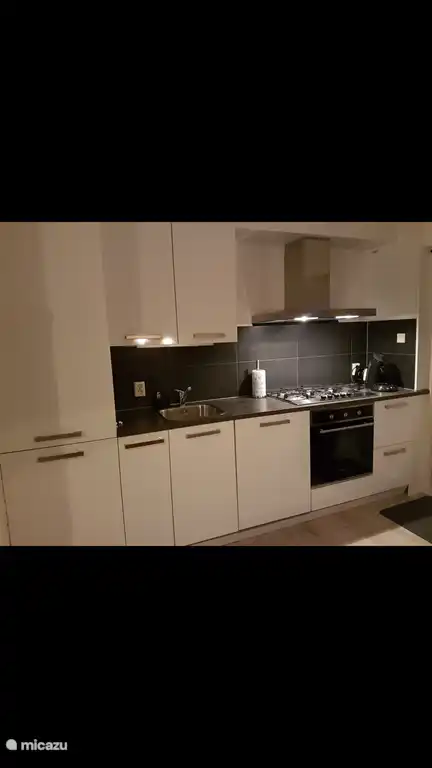 und die renovierte Küche mit Backofen, Kühlschrank, Gefrierschrank und Geschirrspüler, Mikrowelle, Senseo und einer normalen Kaffeemaschine.