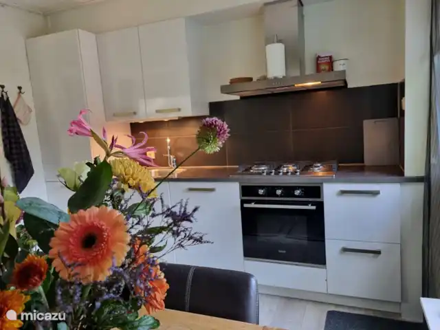 De Vlinder huren in Nederland, Gelderland, Winterswijk - bungalow keuken