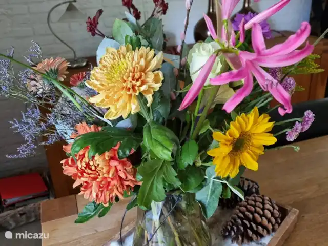 De Vlinder huren in Nederland, Gelderland, Winterswijk - bungalow bloemetje op tafel