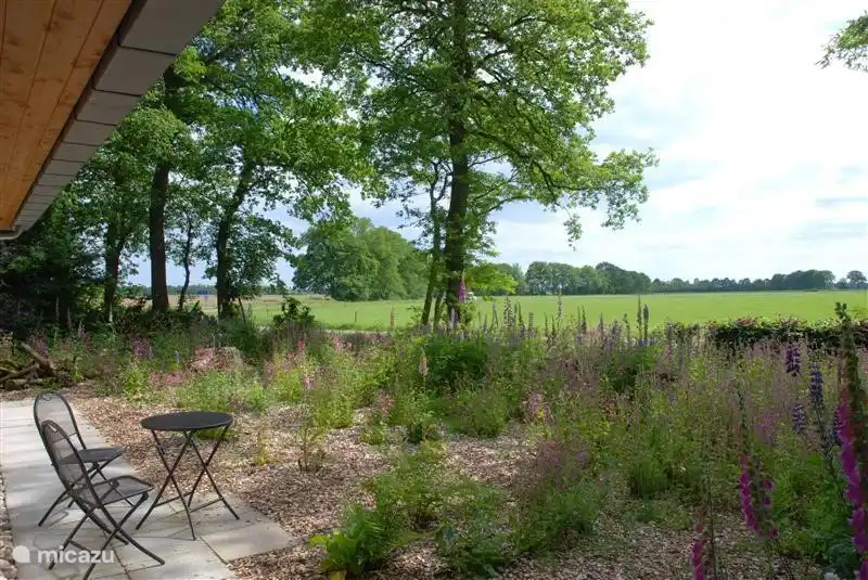 Blick von der Terrasse vor dem Haus