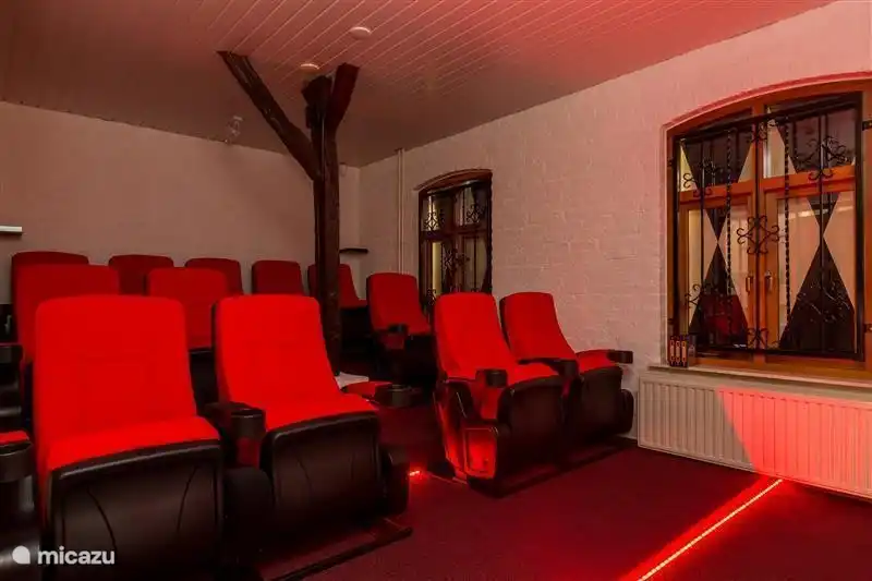 12-Sitzer-Kino-Breitbildformat und unbegrenzten Vorrat an Filmen und Serien