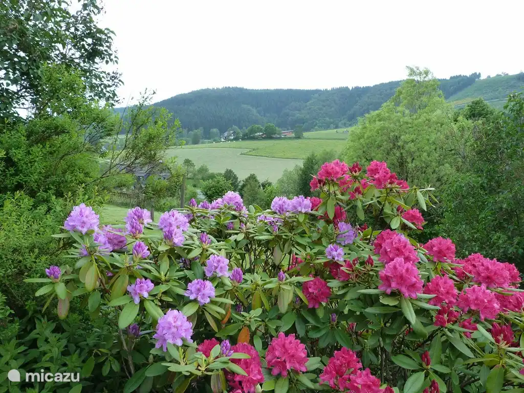 Betten Haus