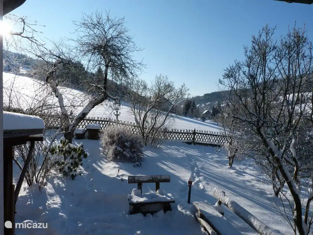 Winter Blick auf die Wiese