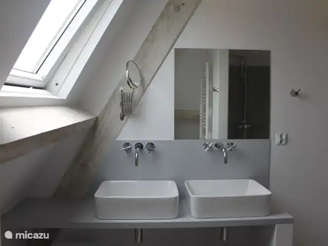 Villa de Banninck **** huren in Frankrijk, Charente, Laprade - villa Badkmer 3 op de tweede verdieping: dubbele wastafel, toilet en douche.