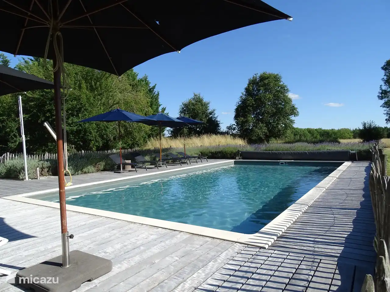 das Schwimmbad 12x6m mit Salzwasser