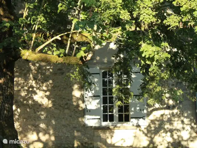 Villa de Banninck **** huren in Frankrijk, Charente, Laprade - villa Sfeerbeeld