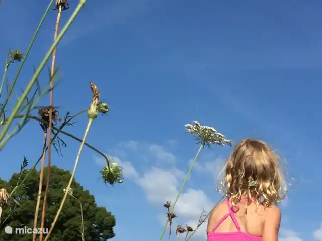 Villa de Banninck **** huren in Frankrijk, Charente, Laprade - villa vliegeren op het mooi grote grasveld