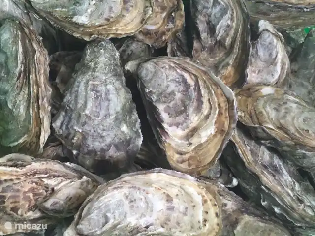 Villa de Banninck **** huren in Frankrijk, Charente, Laprade - villa oesters uit de streek