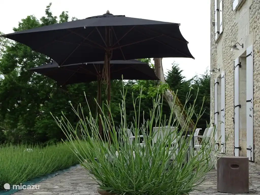 Du riechst den Lavendel!