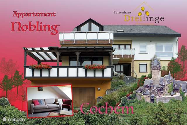 Vakantiehuis Duitsland, Moezel, Klotten - appartement Ferienhaus Dreilinge, app. 'Nobling'