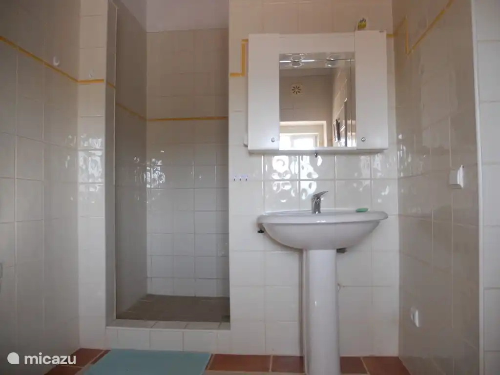 Das zweite Badezimmer mit geräumiger begehbarer Dusche.