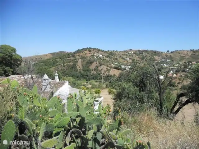 Casa na Colina huren in Portugal, Algarve, Porto Carvalhoso - vakantiehuis Direct achter het huis (op de foto ziet u het dak) beginnen diverse wandelpaden en kunt u genieten van een schitterende omgeving met kurkeiken,eucalyptusbomen, johannesbroodbomen en andere planten en bloemen. 's Winters en in het voorjaar stroomt de rivier, 's zomers valt hij grotendeels droog.