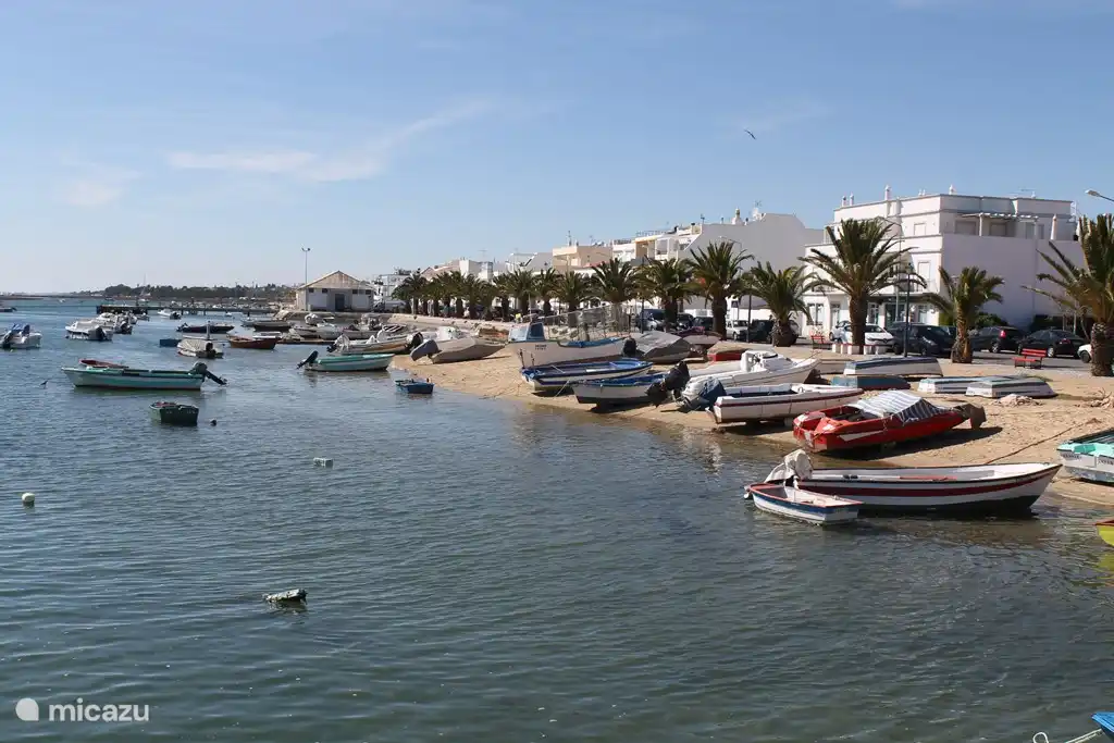 Das Fischerdorf Santa Luzia (in der Nähe von Tavira) ist für seinen (Pfeil) Tintenfang bekannt und bietet viele gute Restaurants.