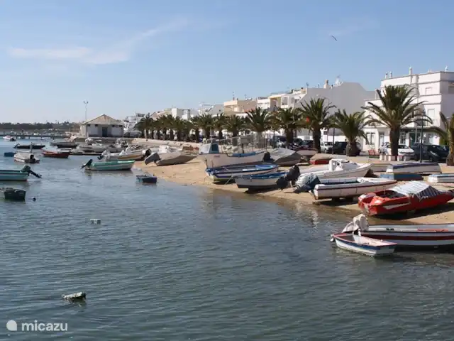 Casa na Colina huren in Portugal, Algarve, Porto Carvalhoso - vakantiehuis Het vissersplaatsje Santa Luzia (vlakbij Tavira) staat bekend om de (pijl)inktvisvangst en kent veel goede restaurants om hiervan te genieten.