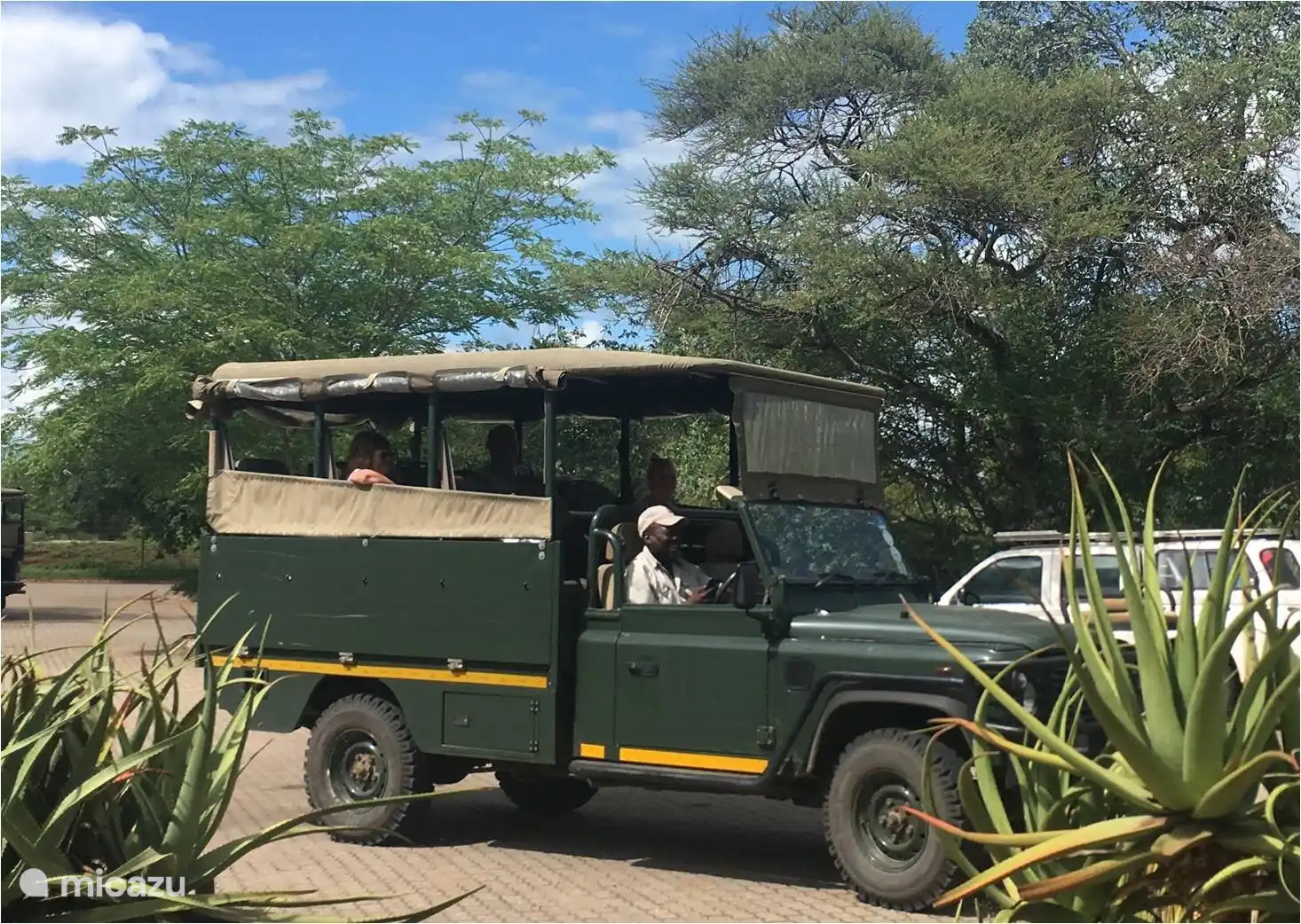 wij kunnen (privé) game drives organiseren vanaf het Kruger park 
