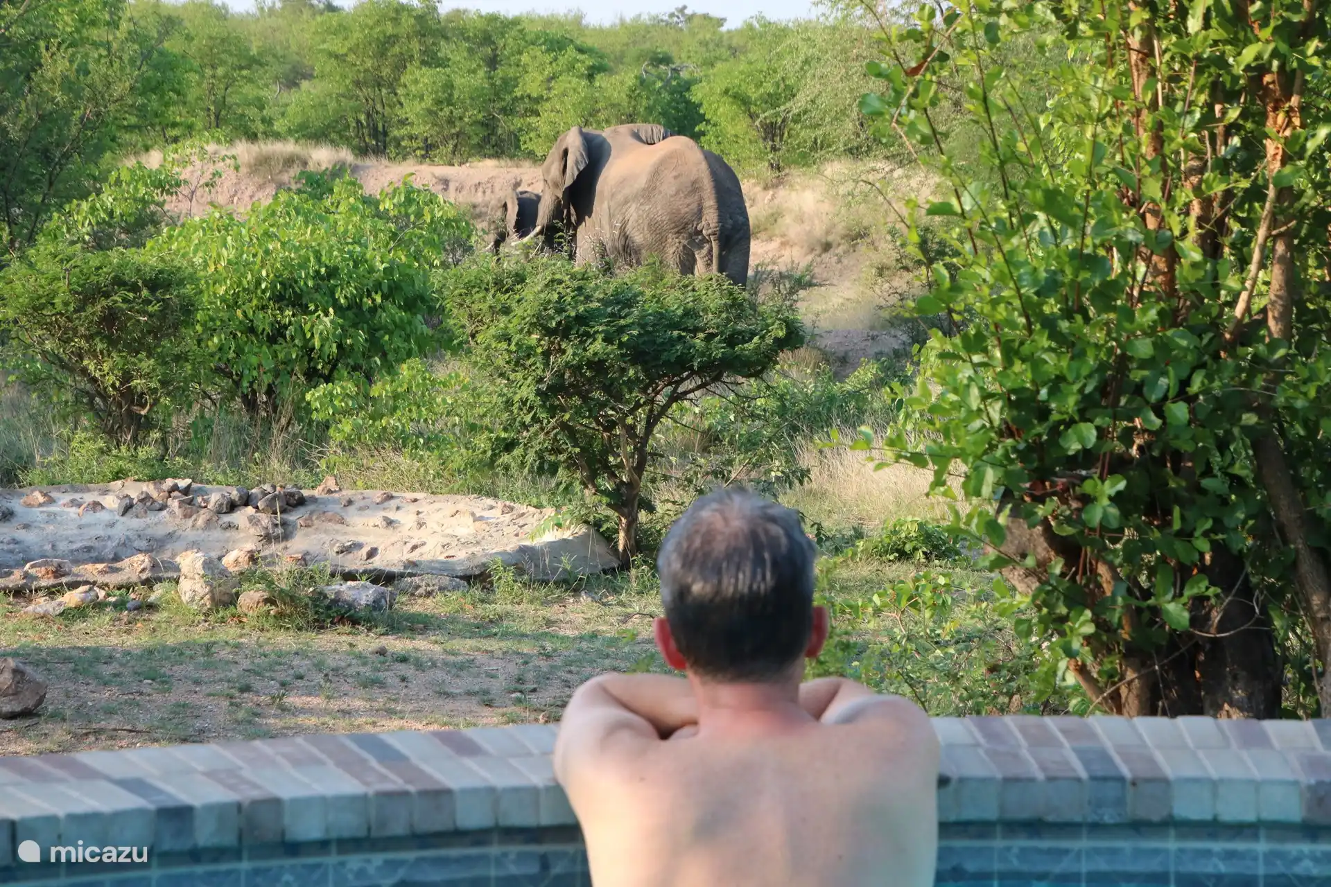die Traumaussicht, wenn die Elefanten vorbeikommen und man im Pool ist. 