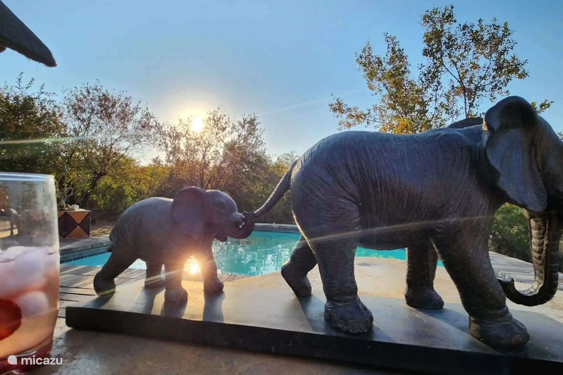 Genießen Sie den Busch. 