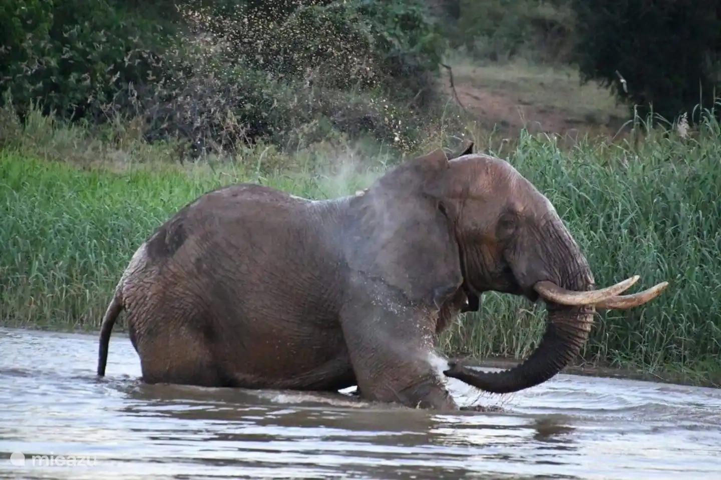 Auf der Bootsfahrt halten Sie entlang der Ufer Ausschau nach der Tierwelt des Krüger-Parks. 