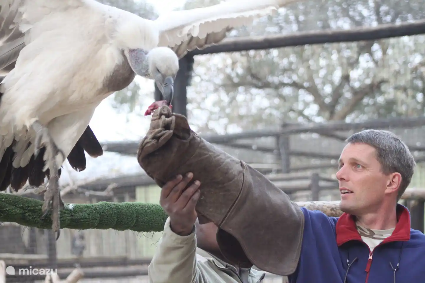 Hoedspruit, 80 km entfernt mit  Moholoholo und Hesc; die Tanzshow des Kulturdorfes Nyani und des Flughafens mit täglichen Flügen nach J'burg und Cape Town.