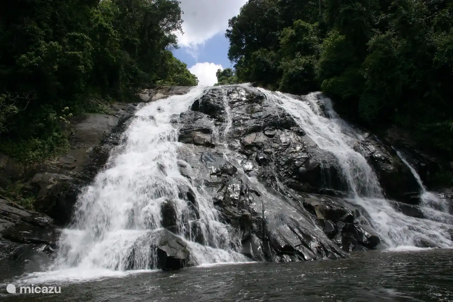 Tzaneen / Magoebaskloof 130 km entfernt. Ein Picknick bei den Debengenifalls mit einem Spaziergang oder den Lesoditrail durch den Regenwald. Probieren Sie Käse in der Cheerio Cheesefarm und besuchen Sie sich die alte Minedorf Haernetsburg.