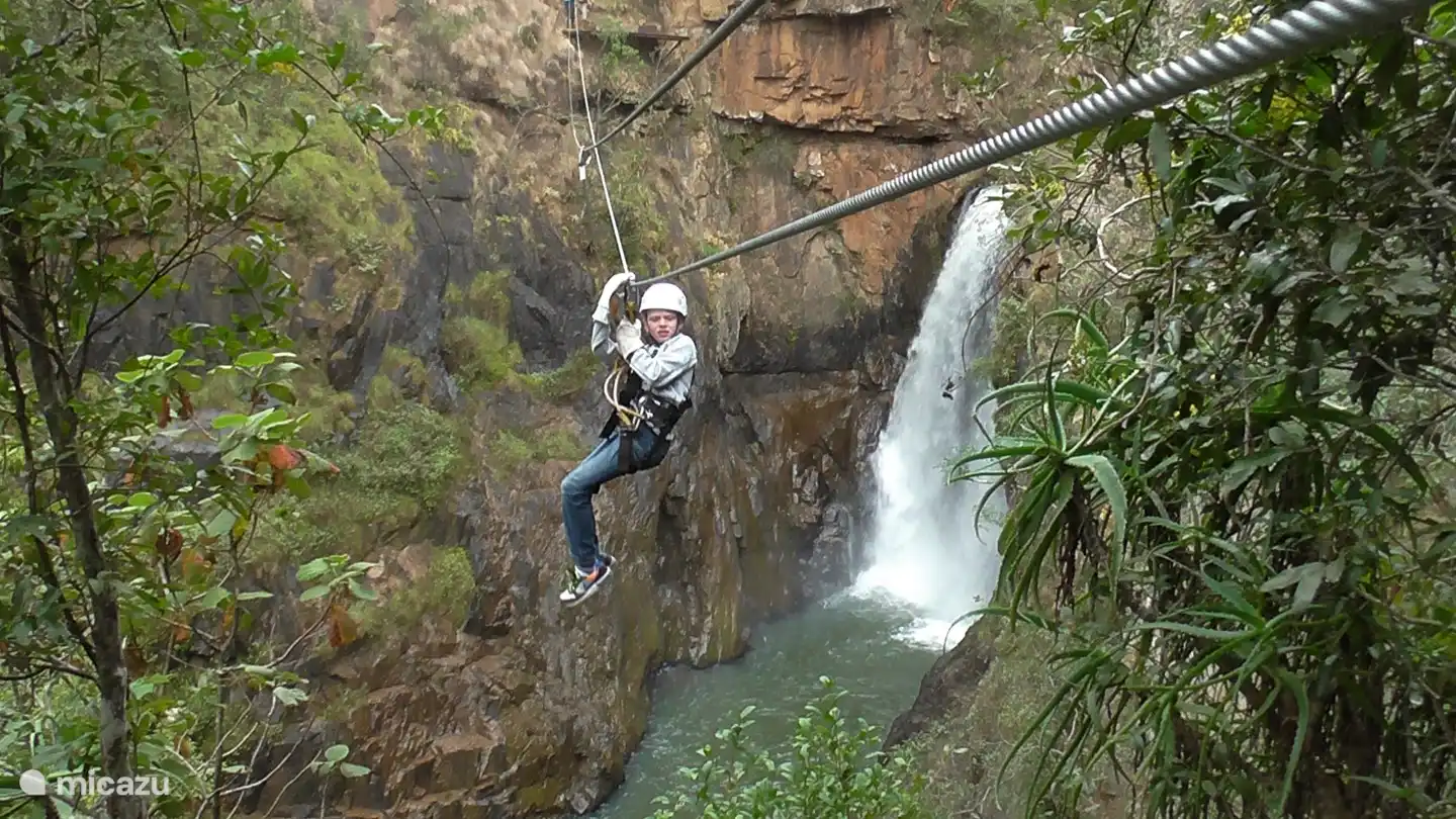 Magoebaskloof ziplining über der abgelegenen Letabagorge (7-70 Jahre)