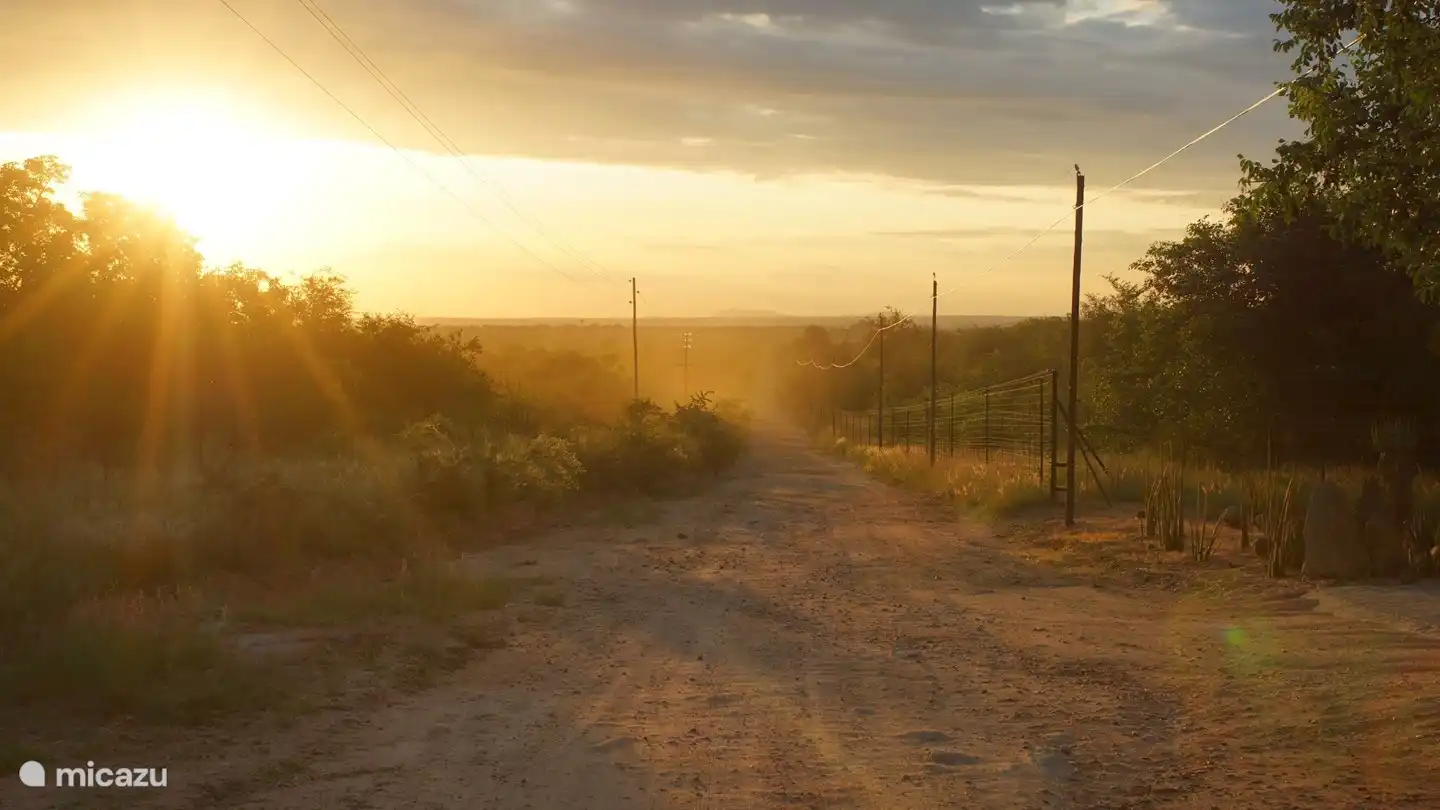 
Die Straße nach Umoja in den Busch, etwas holprig aber man wohnt fast im Krügerpark.