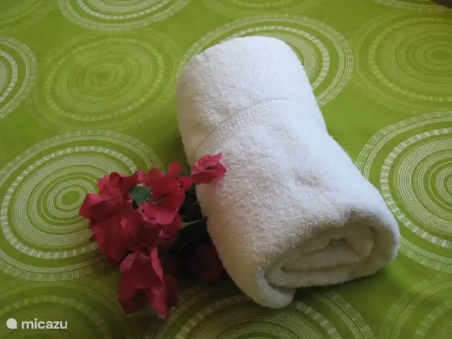 Villapark Fontein A27 huren in Curaçao, Banda Abou (west), Fontein - vakantiehuis Het voelt als thuis!