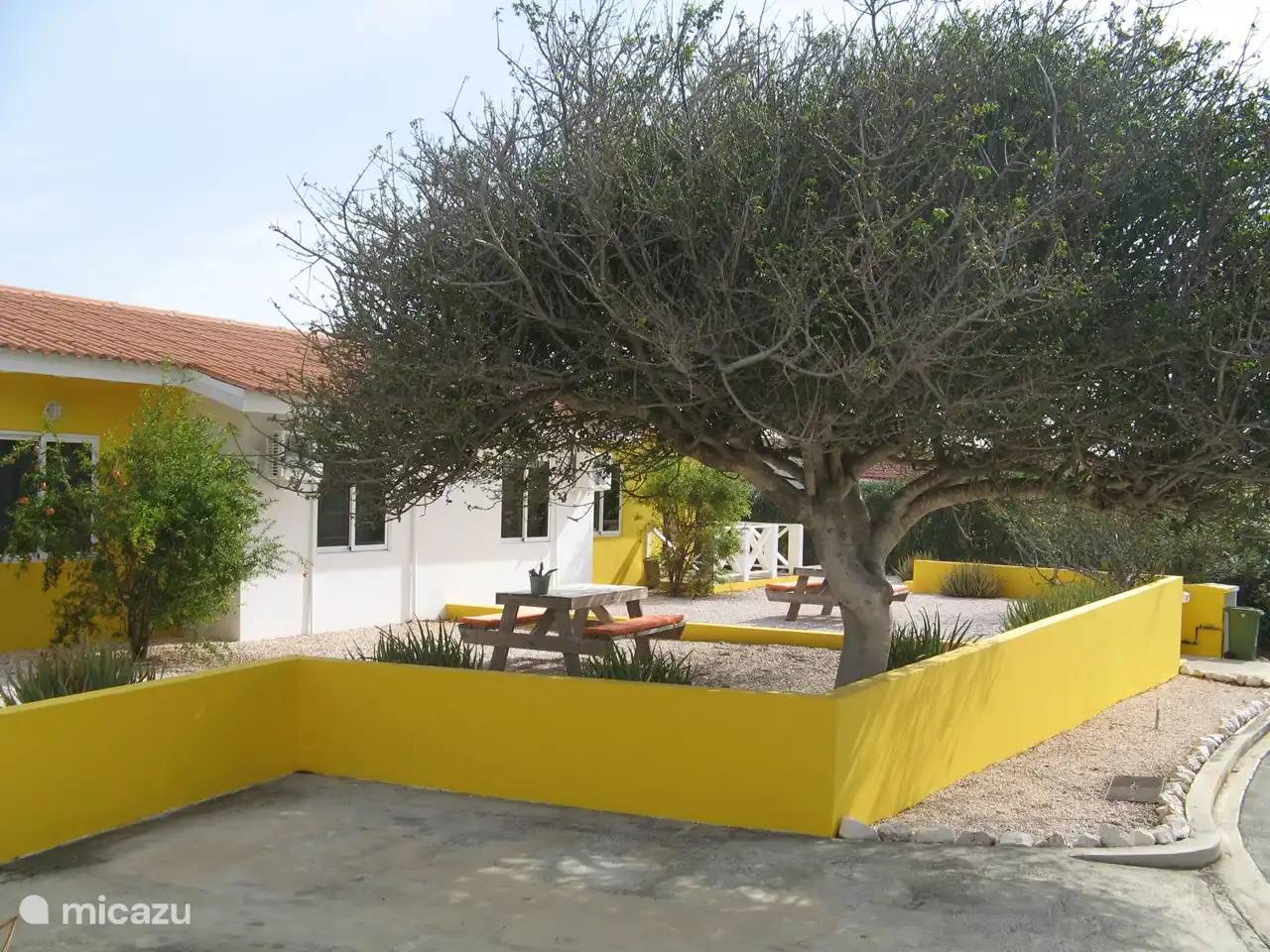 Vue latérale du Villapark Fontein A27 et A28. Ces maisons jumelées sont des images miroir les unes des autres. Avec l'arbre Kibrahacha dans le jardin de devant pour un endroit ombragé supplémentaire.