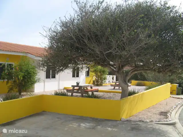 Villapark Fontein A27 huren in Curaçao, Banda Abou (west), Fontein - vakantiehuis Zijaanzicht van Villapark Fontein A27 en A28. Deze twee-onder-één-kap woningen zijn elkaars spiegelbeeld. Met de Kibrahacha boom in de voortuin voor een extra schaduwplek.