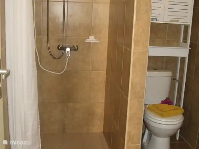 Villapark Fontein A27 huren in Curaçao, Banda Abou (west), Fontein - vakantiehuis Badkamer met toilet, wastafel en douche (met warm water).
Boven de toilet is er een opbergkast.