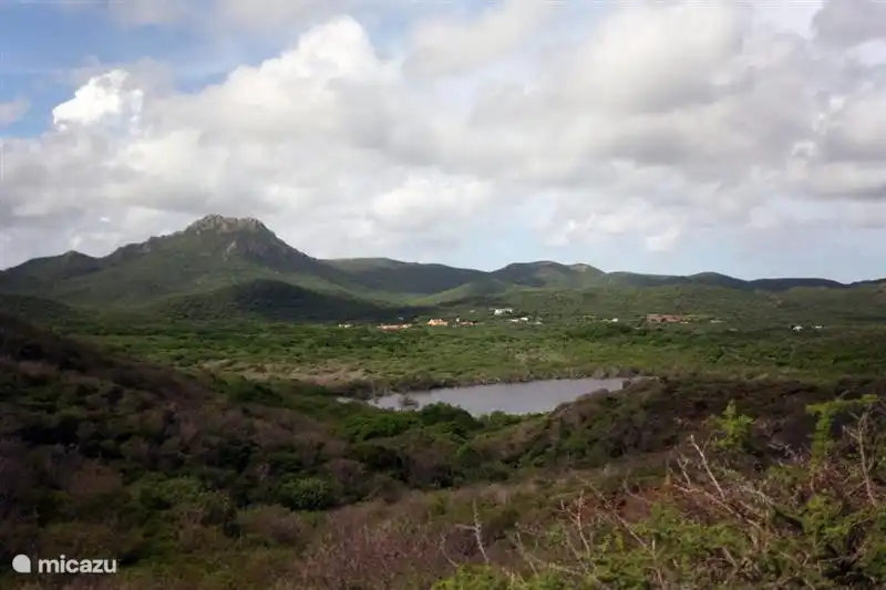 Nature dans le Christoffelpark avec le Christoffelberg en arrière-plan.